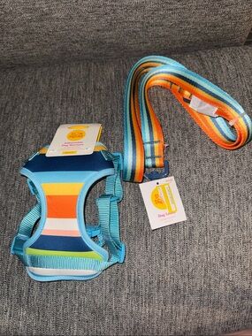 Adjustable Dog Harness and Dog Leash Set.